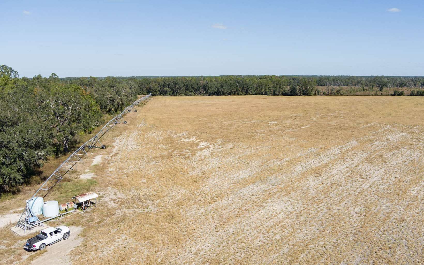120 Acres of Land for Sale in Live Oak, Florida