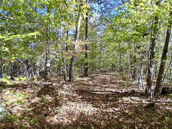 14 Acres of Recreational Land for Sale in Edmonton, Kentucky