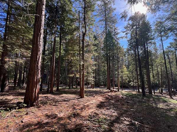 0.33 Acres of Residential Land for Sale in Arnold, California