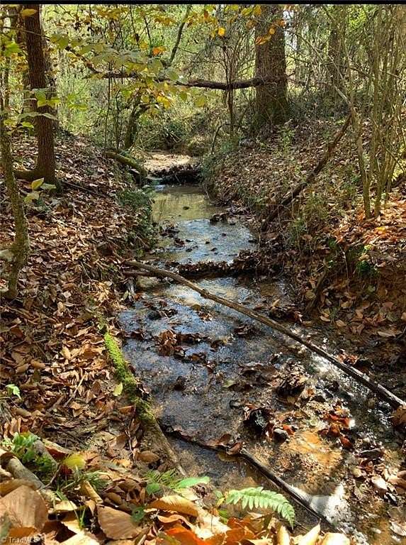 20 Acres of Recreational Land for Sale in Boomer, North Carolina