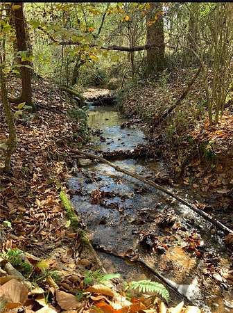 20 Acres of Recreational Land for Sale in Boomer, North Carolina