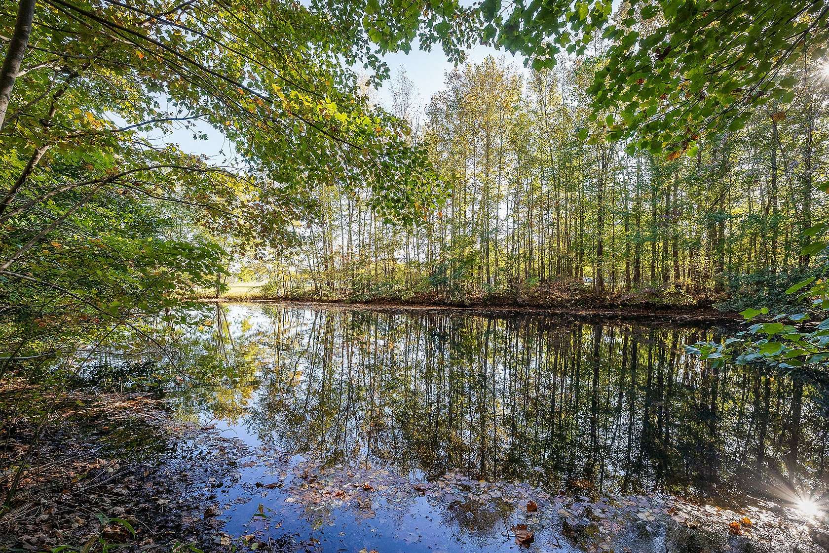 3.17 Acres of Residential Land for Sale in Rickman, Tennessee