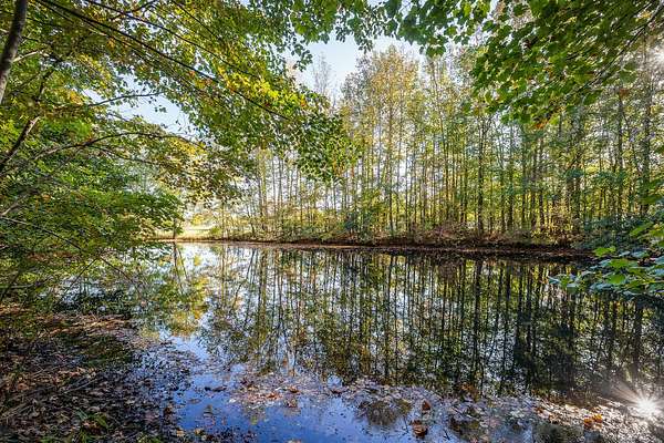 3.17 Acres of Residential Land for Sale in Rickman, Tennessee