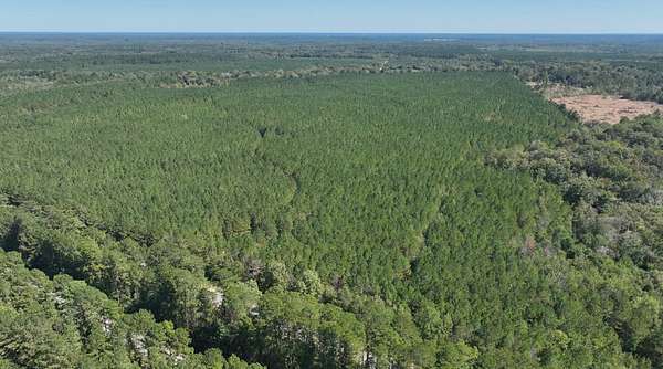175 Acres of Recreational Land for Sale in Pachuta, Mississippi