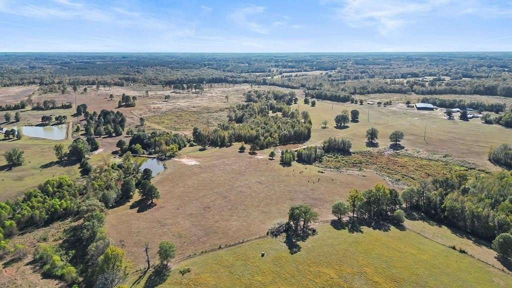 173 Acres of Agricultural Land for Sale in Atlanta, Texas