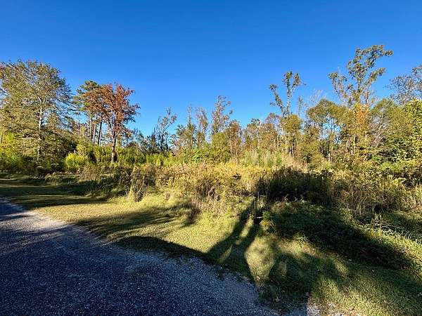 Residential Land for Sale in Abbeville, Alabama