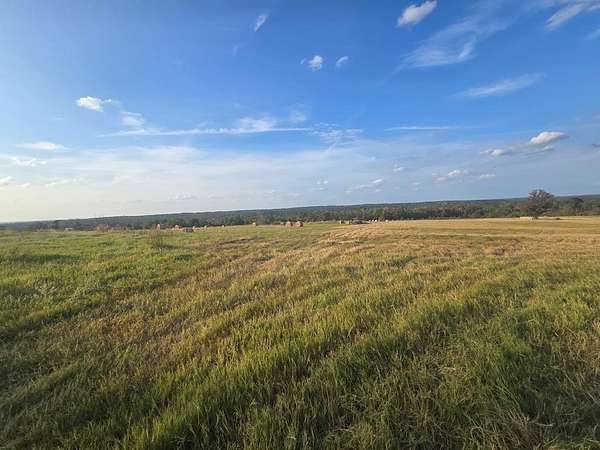 212 Acres of Recreational & Residential Land for Sale in Elkhart, Texas