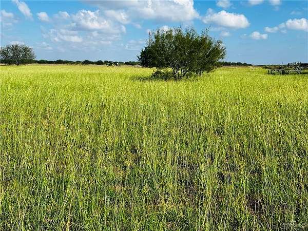 0.6 Acres of Residential Land for Sale in Santa Maria, Texas
