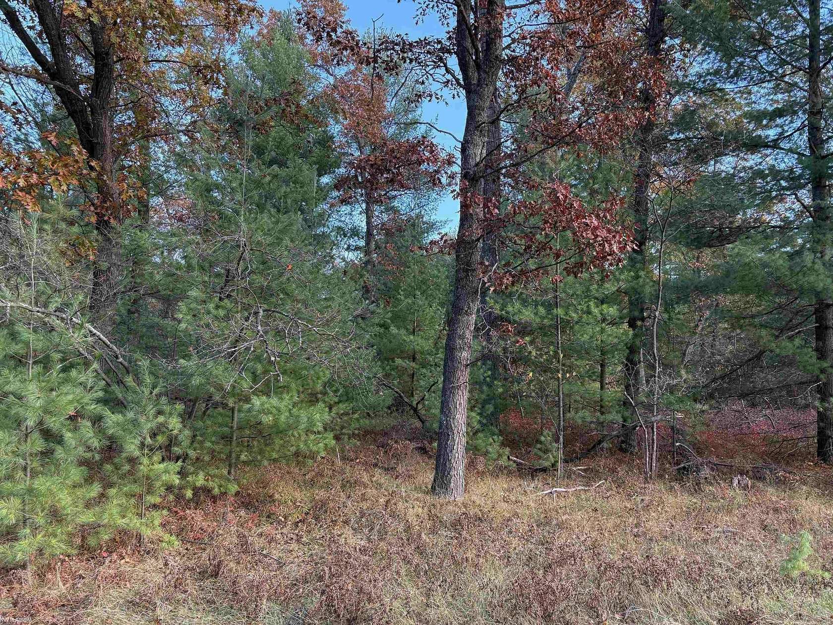 Residential Land for Sale in Alger, Michigan