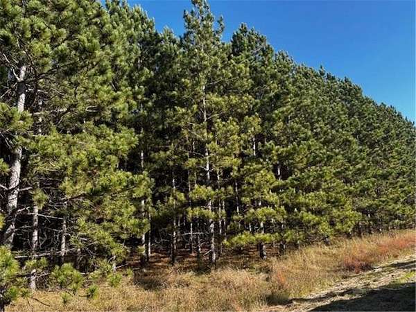 1.32 Acres of Residential Land for Sale in Carlos, Minnesota