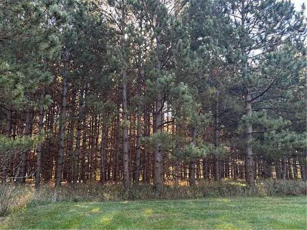 1.8 Acres of Residential Land for Sale in Carlos, Minnesota