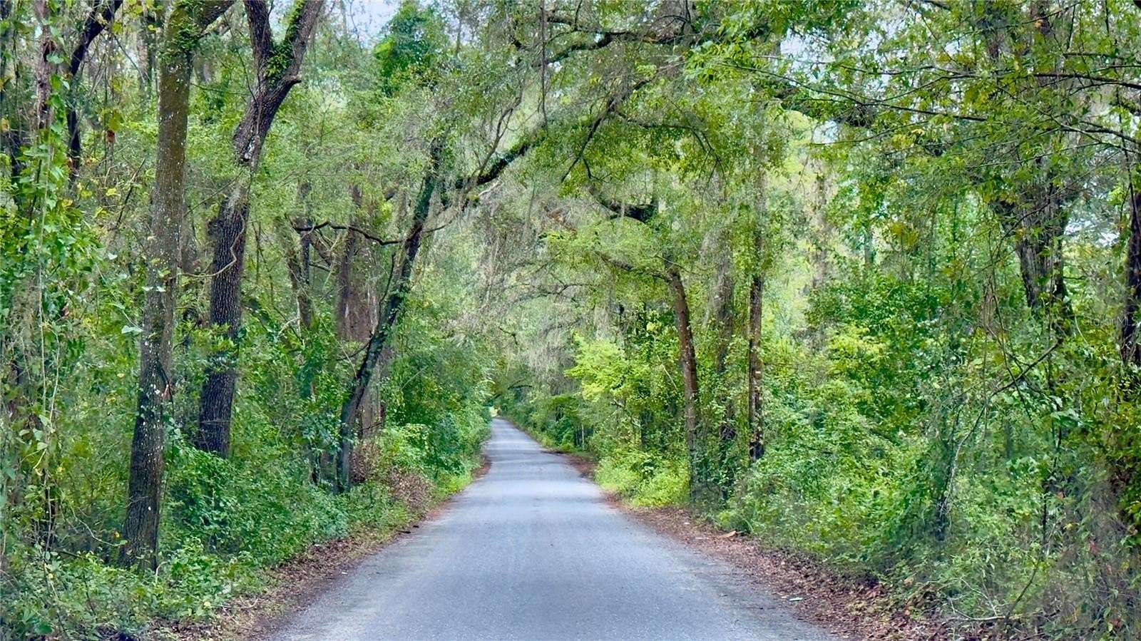 5 Acres of Land for Sale in Newberry, Florida