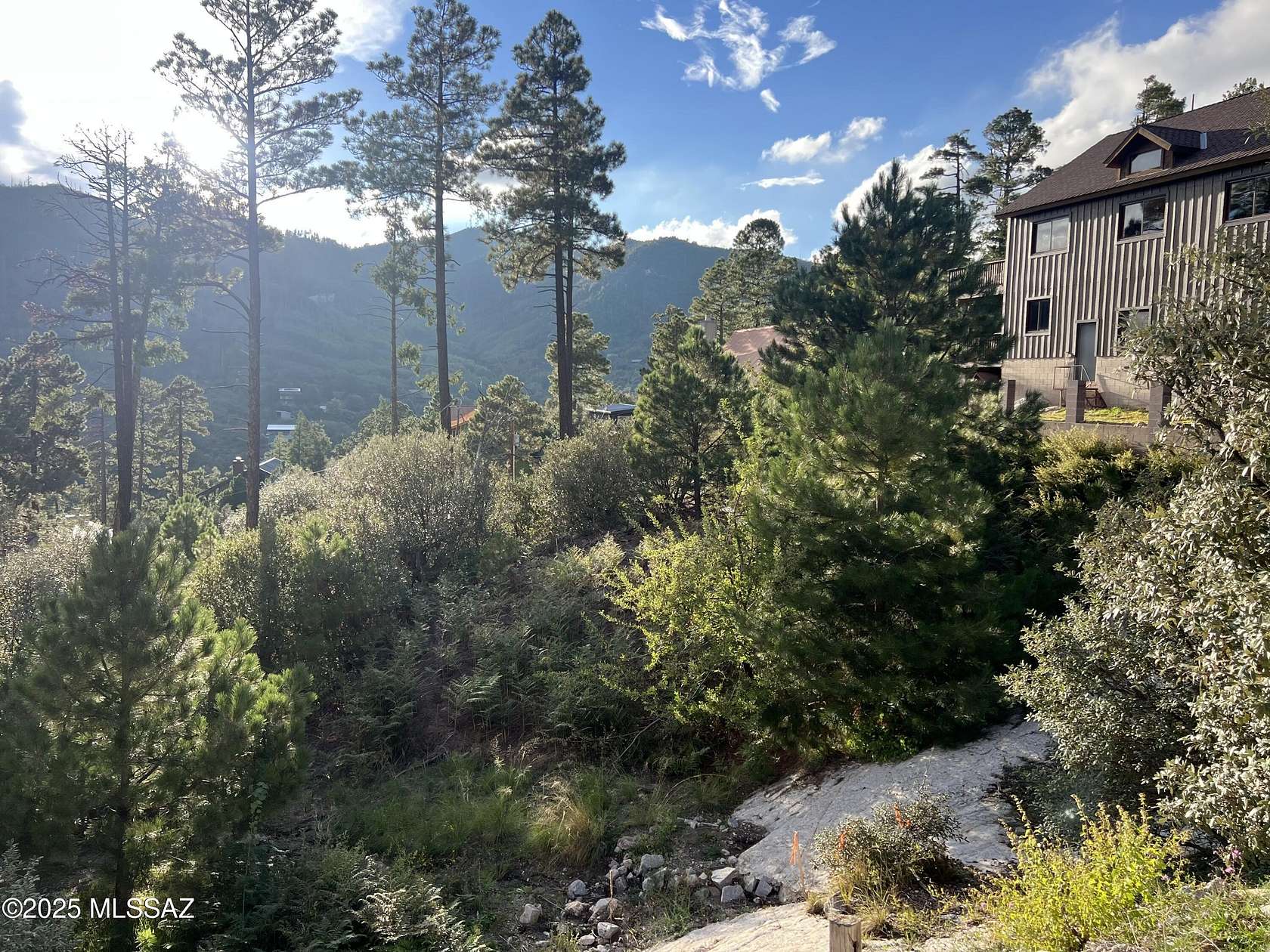 0.12 Acres of Residential Land for Sale in Summerhaven, Arizona