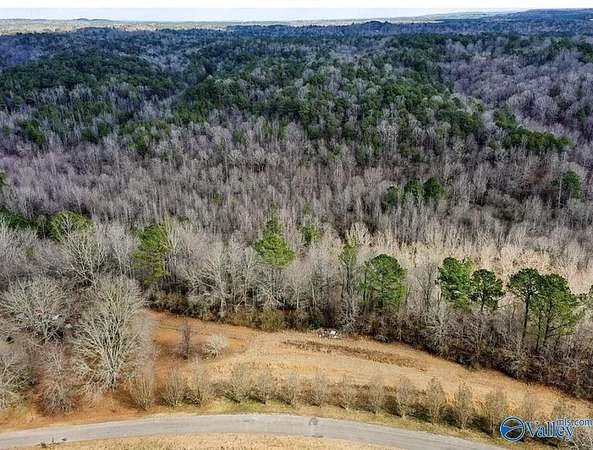 15 Acres of Recreational Land for Sale in Parrish, Alabama