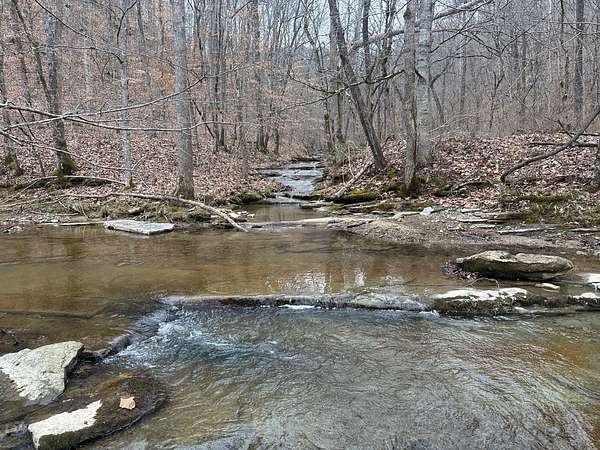 566 Acres of Recreational Land for Auction in Tompkinsville, Kentucky