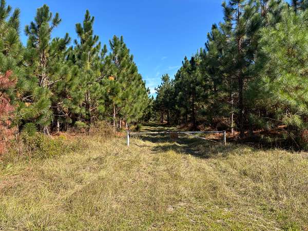 339 Acres of Recreational Land for Sale in Whites Creek Township, North Carolina