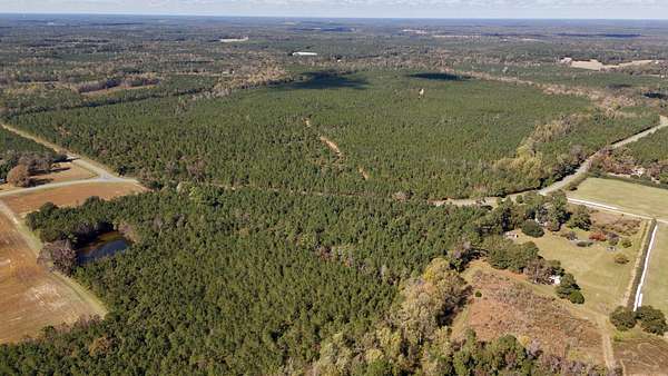 339 Acres of Recreational Land for Sale in Whites Creek Township, North Carolina