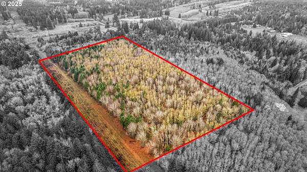 20 Acres of Land for Sale in Rainier, Oregon