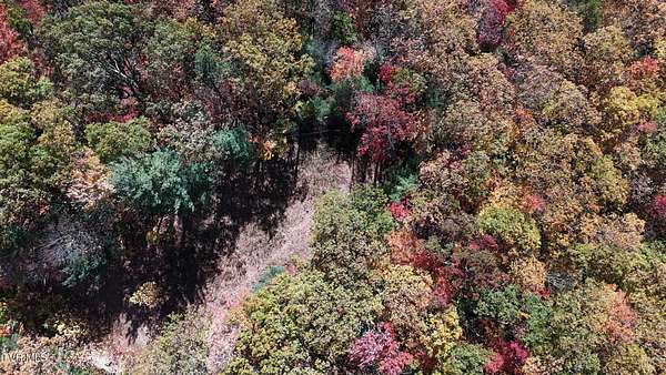 3.7 Acres of Residential Land for Sale in Butler, Tennessee