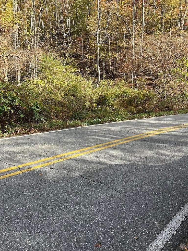19.3 Acres of Land for Sale in Bryson City, North Carolina