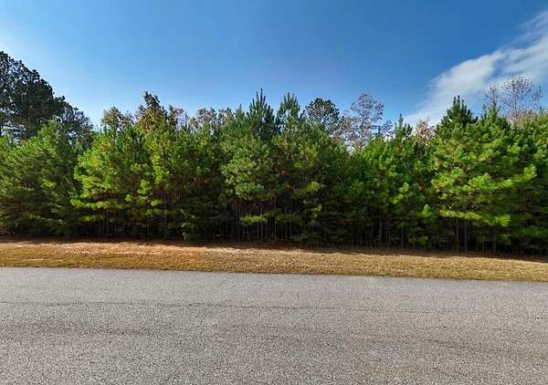 3.17 Acres of Residential Land for Sale in Blairsville, Georgia