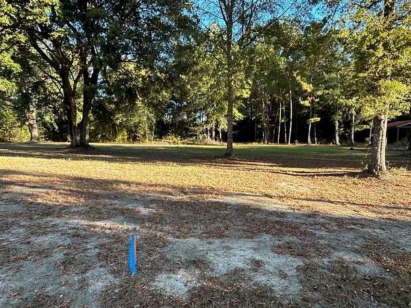 16.1 Acres of Land for Sale in Carriere, Mississippi