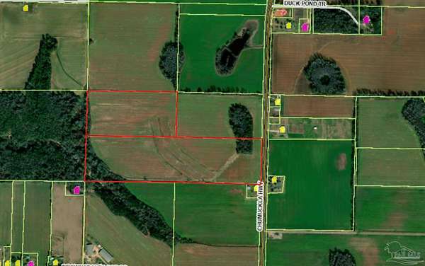 60 Acres of Land for Sale in Jay, Florida