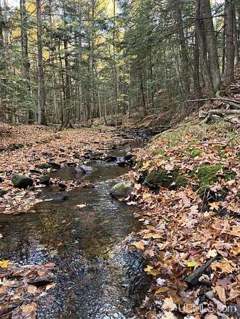 40 Acres of Recreational Land for Sale in L'Anse, Michigan