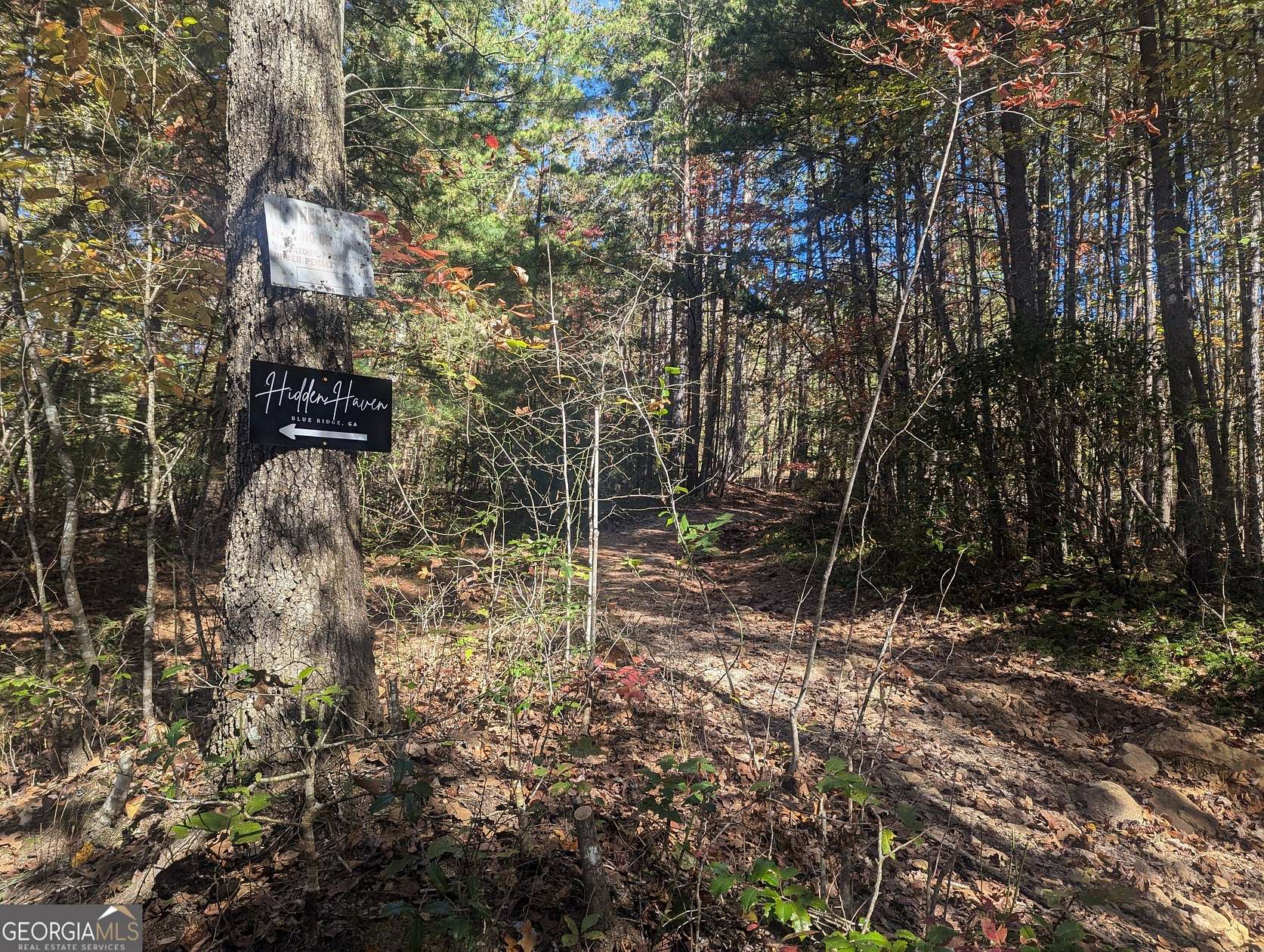 26.9 Acres of Land for Sale in Blue Ridge, Georgia