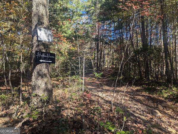 26.9 Acres of Land for Sale in Blue Ridge, Georgia