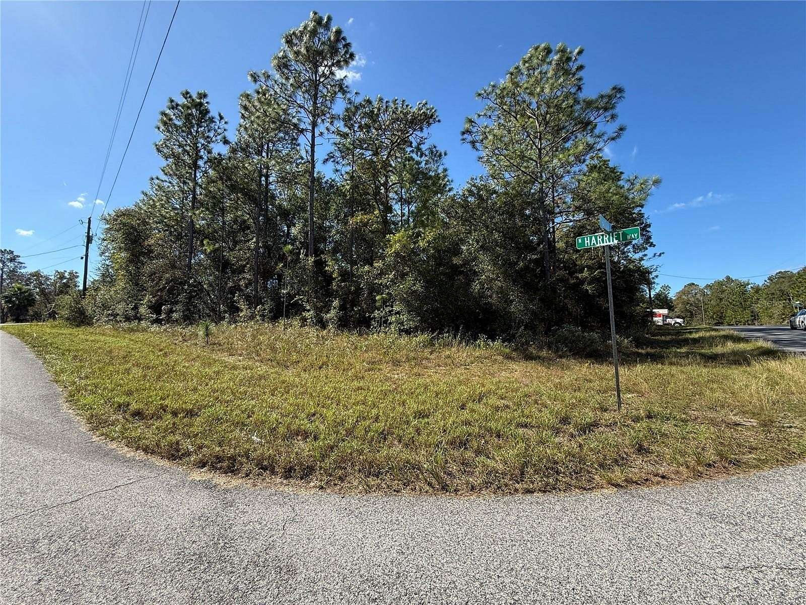 0.31 Acres of Residential Land for Sale in Citrus Springs, Florida