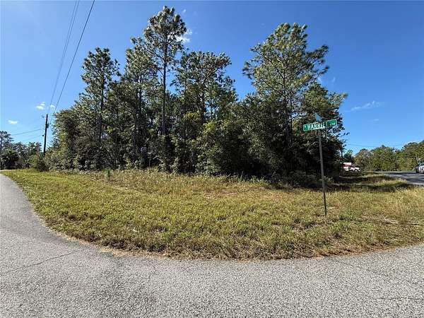 0.31 Acres of Residential Land for Sale in Citrus Springs, Florida