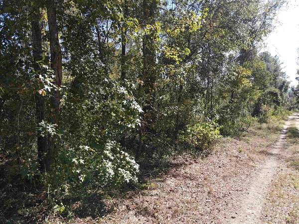 3 Acres of Residential Land for Sale in Jasper, Florida