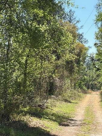 3 Acres of Residential Land for Sale in Jasper, Florida