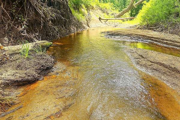 119 Acres of Recreational Land & Farm for Sale in Thornton, Texas