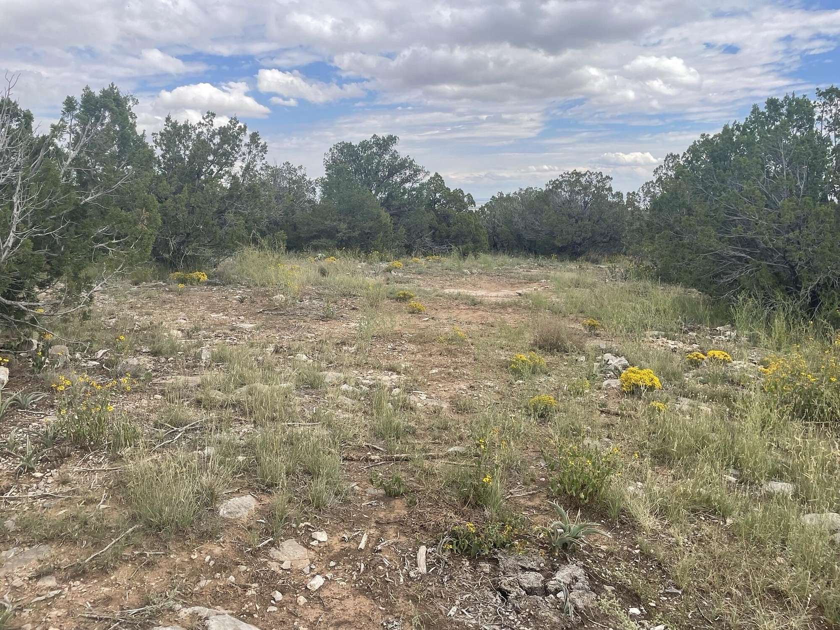 1 Acre of Land for Sale in Edgewood, New Mexico