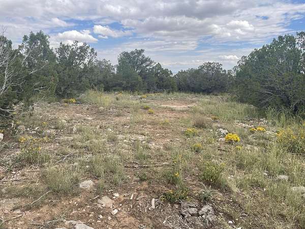1 Acre of Land for Sale in Edgewood, New Mexico