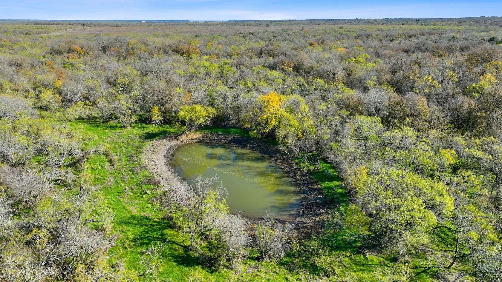 388 Acres of Recreational Land for Sale in Dale, Texas