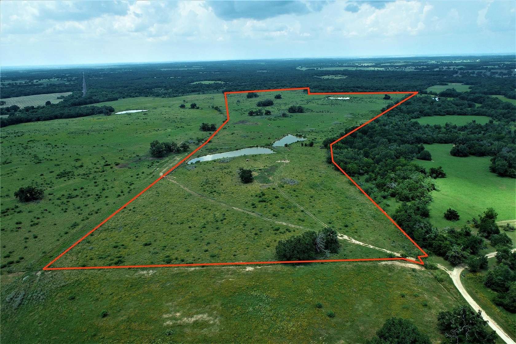 81.5 Acres of Agricultural & Residential Land for Sale in Milano, Texas