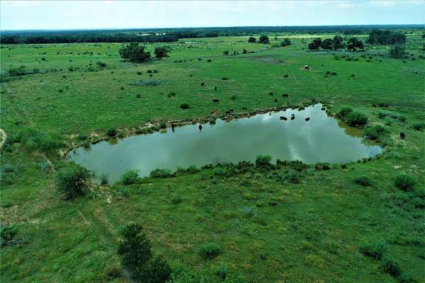 81.5 Acres of Agricultural Land for Sale in Milano, Texas