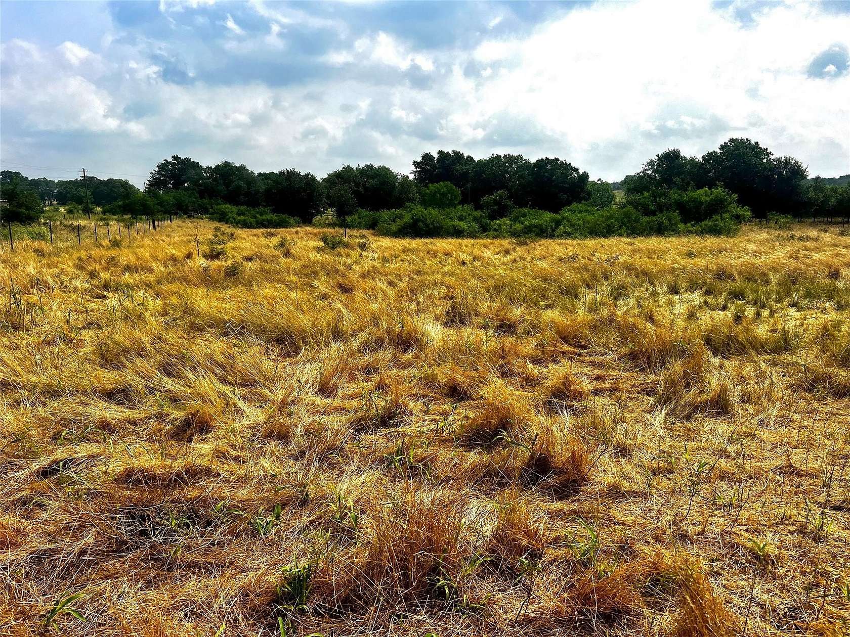 10 Acres of Land for Sale in Dale, Texas