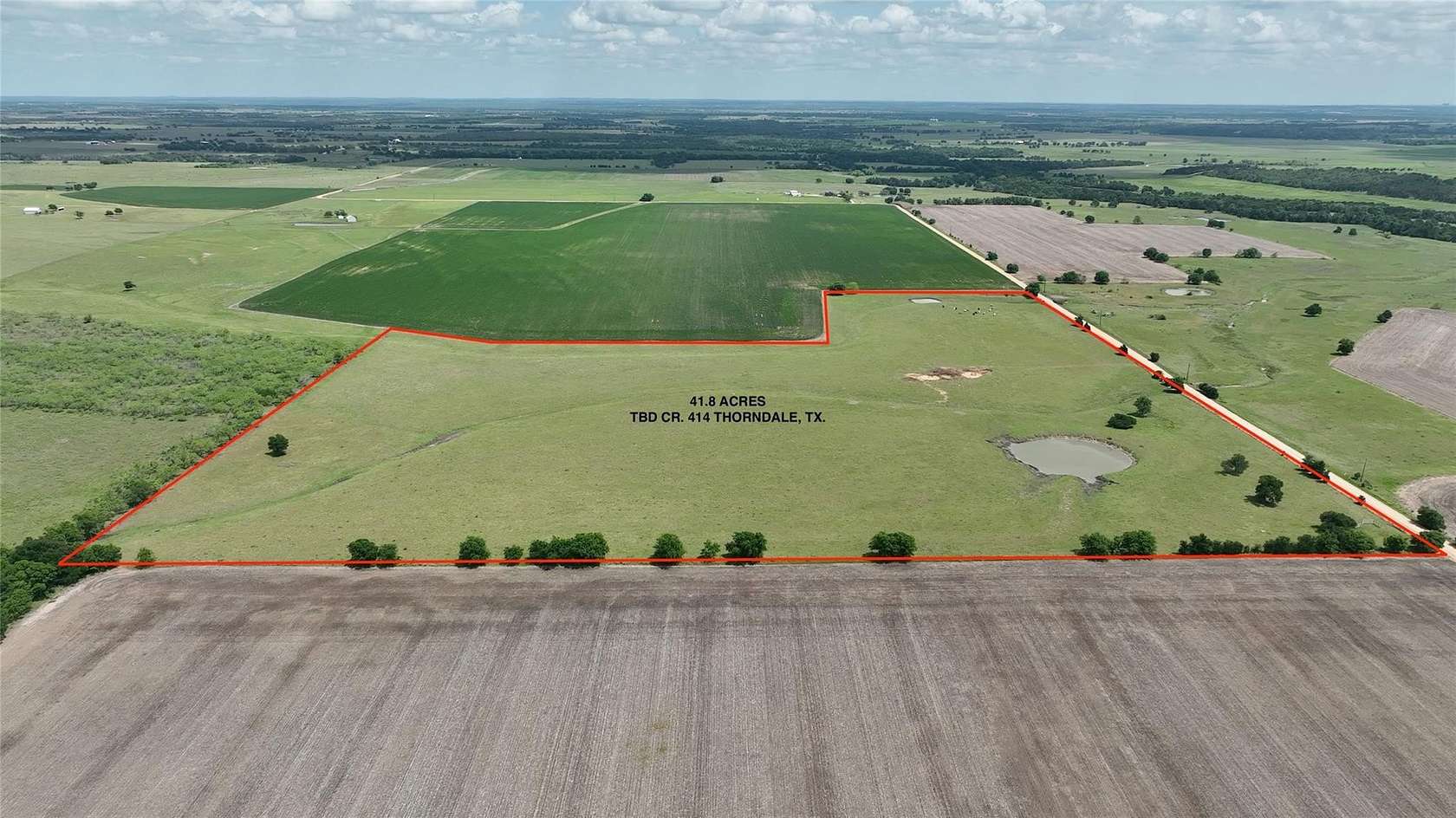 41.8 Acres of Land for Sale in Thorndale, Texas