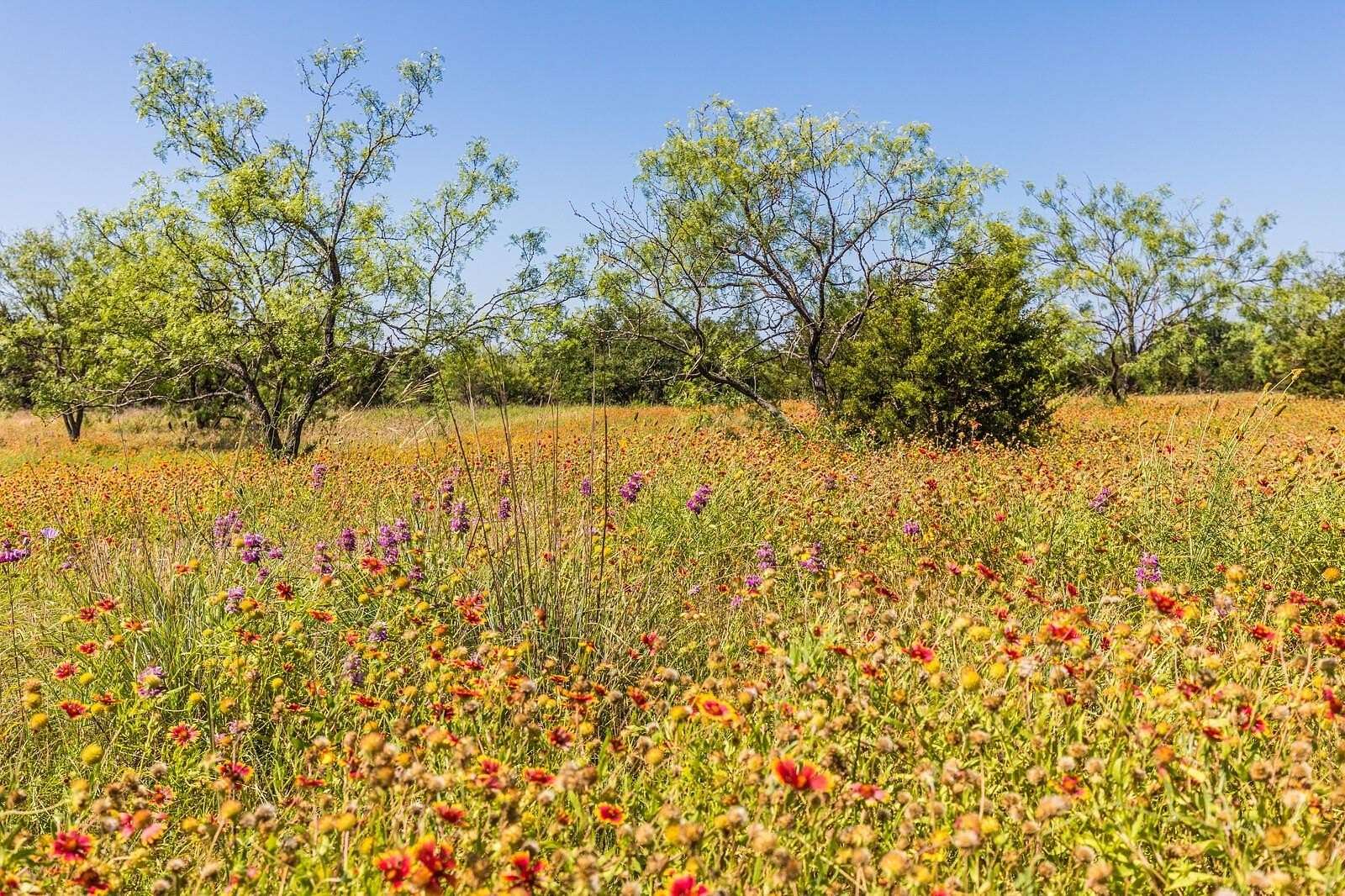 27 Acres of Land for Sale in Kempner, Texas