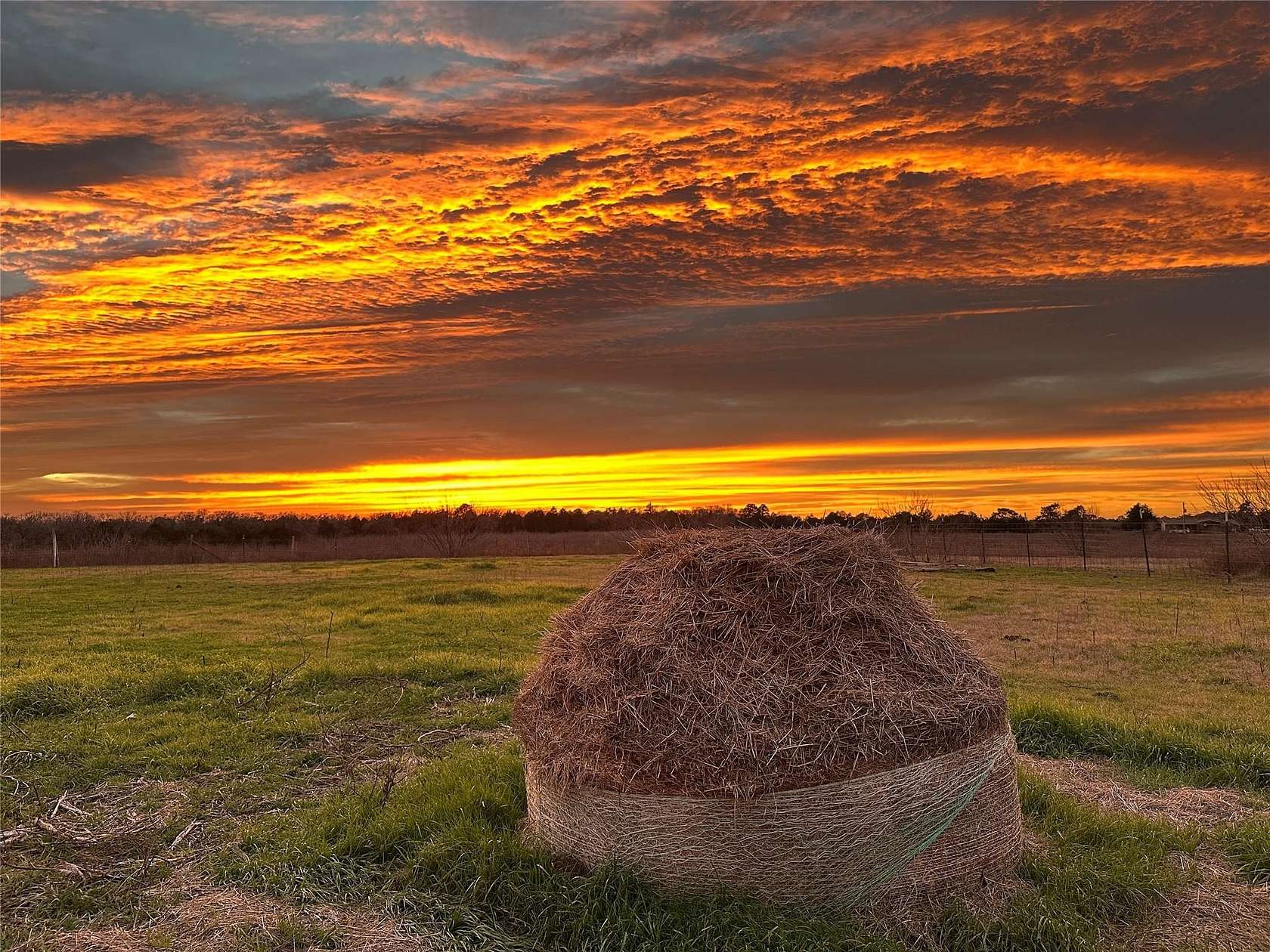 12.3 Acres of Land with Home for Sale in Paige, Texas