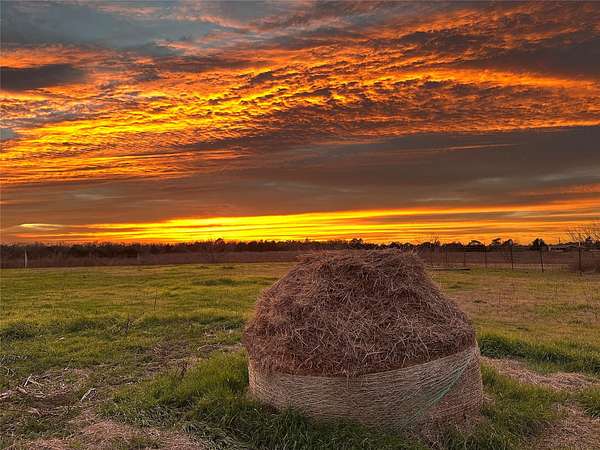 12.3 Acres of Land with Home for Sale in Paige, Texas