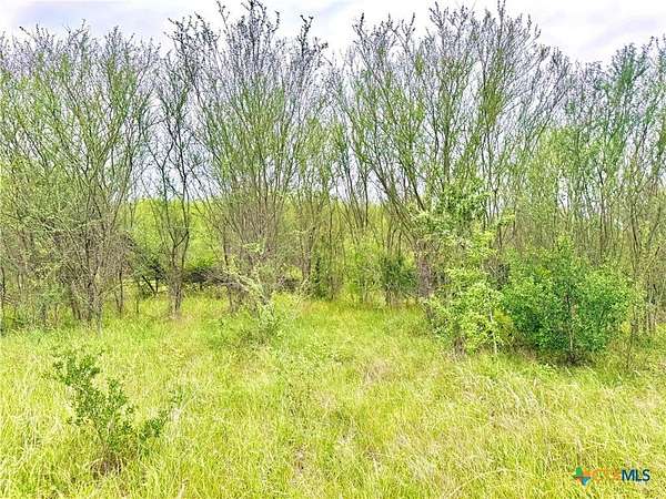 10.4 Acres of Land for Sale in Smiley, Texas