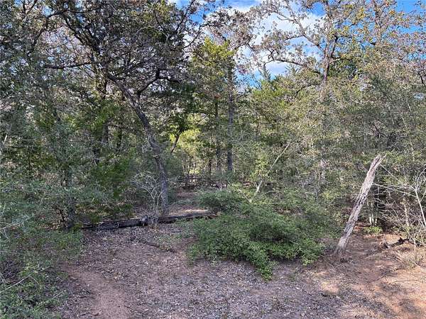 10 Acres of Land for Sale in Smithville, Texas