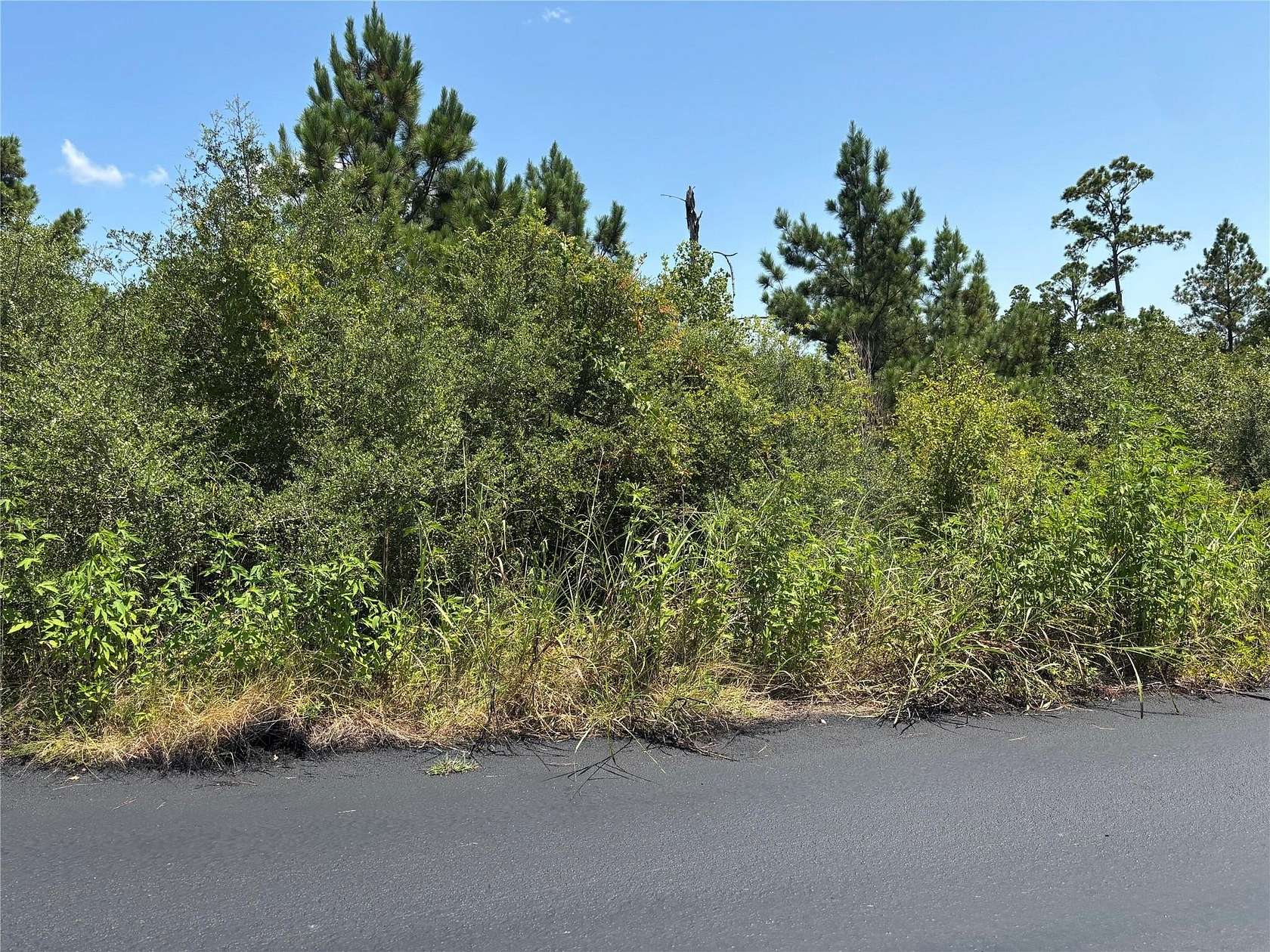 0.2 Acres of Residential Land for Sale in Bastrop, Texas