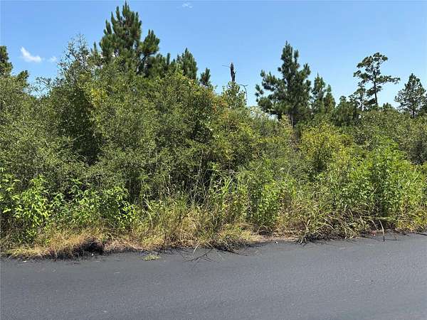 0.2 Acres of Residential Land for Sale in Bastrop, Texas