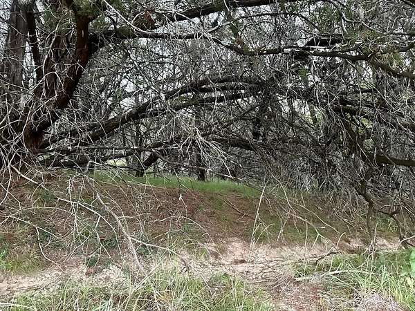 0.22 Acres of Residential Land for Sale in Lago Vista, Texas